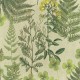 FLAX WALLPAPER | Botanical | FWP-BTN-05